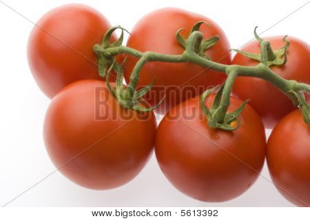 Grupo tomate 2