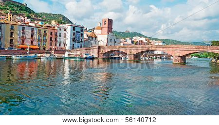 Temo Shore In Bosa