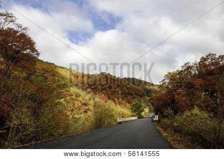 Autumn Mt. Changbai