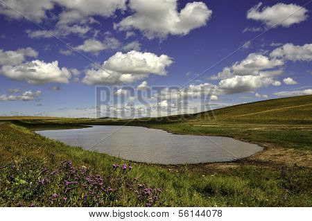 Colorful Prairie