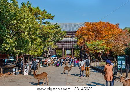 Nandaimon Gate at Todaiji Temple in nara
