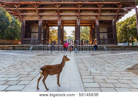 Nandaimon Gate at Todaiji Temple in Nara