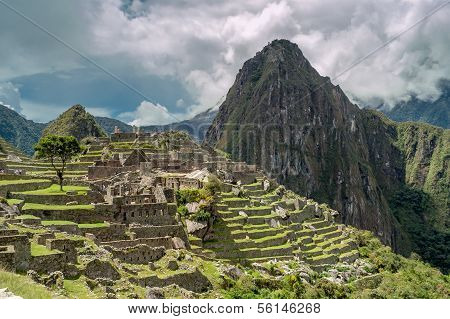 Machu Picchu View