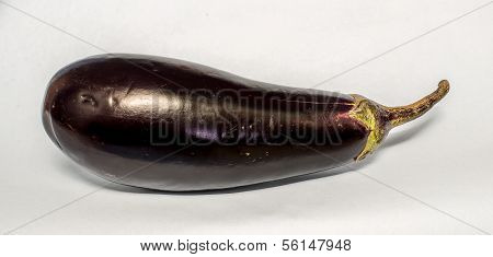 Egg plant