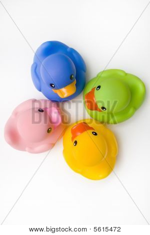 고무 오리