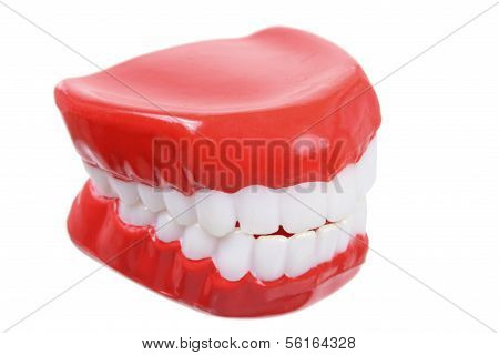 Plastic Toy Denture