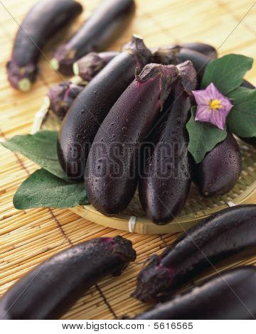 bakłażan