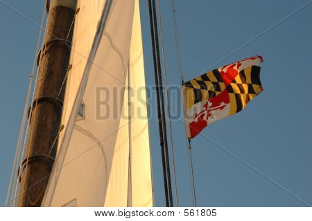 Maryland vlag op de Mast