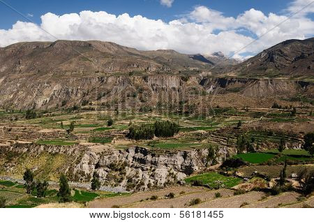 Colca Valley, Peru