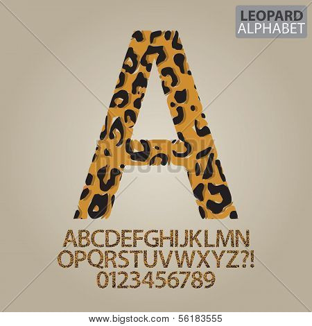 Leopard Skin Alphabet And Numbers Vector