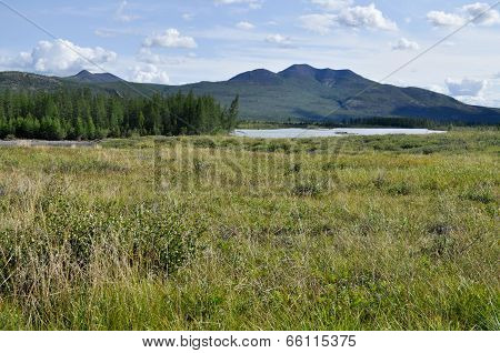 Swampy Plain Under The Blue Sky.