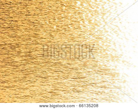 Golden wavelets on the surface of water