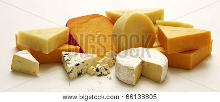 Cheese Collection Studio
