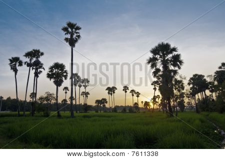 Świątyń Angkor