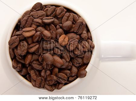 Whole Coffee Beans
