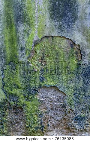 Moss covered stonework