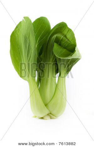 Pok Choi