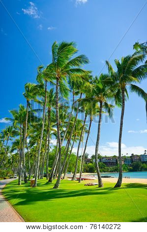 Beautiful View Of Nawiliwili, Kauai Island, Hawaii, Usa