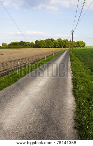 Road Through Fields