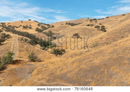 Pacheco Pass