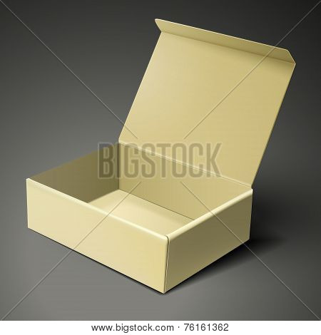 Blank Open Paper Box