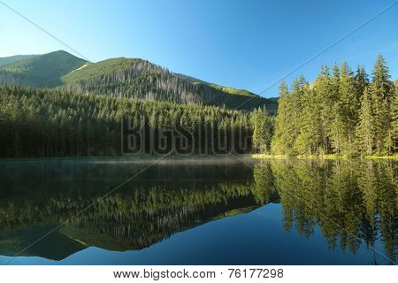 Pond in Tatra National Park