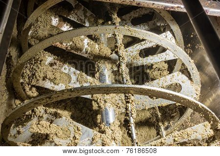Closeup Of Olives In A Olive Oil Machine