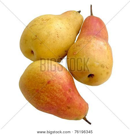 Pears Autumn.