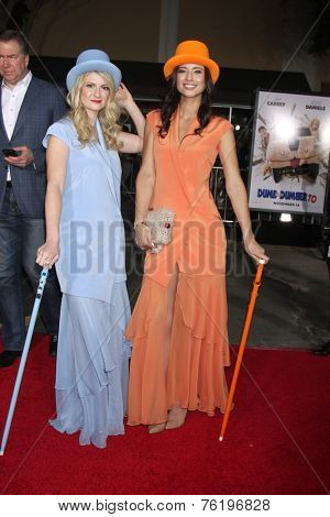 LOS ANGELES - NOV 3:  Atmosphere at the Dumb and Dumber To Premiere at the Village Theater on November 3, 2014 in Los Angeles, CA