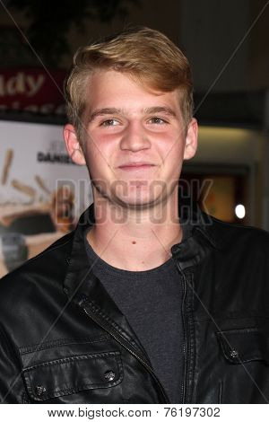 LOS ANGELES - NOV 3:  Dalton E. Gray at the Dumb and Dumber To Premiere at the Village Theater on November 3, 2014 in Los Angeles, CA