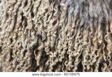 Long fur sheepskin