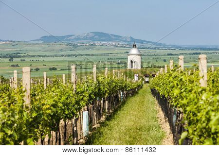 chapel with vineyard near Velke Bilovice, Czech Republic