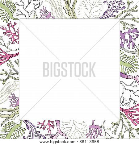 Seaweeds frame