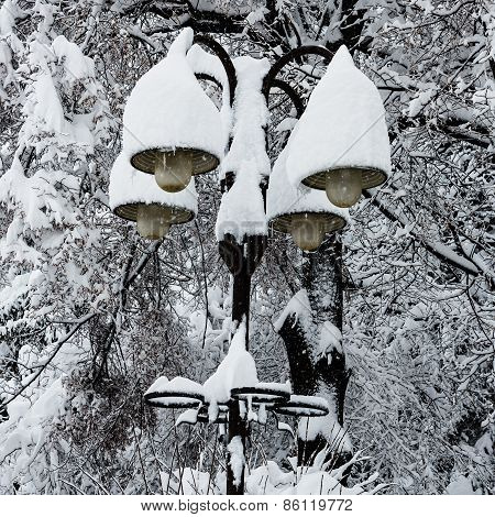 Streetlights Covered With A Thick Snow Layer