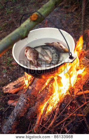 fish soup 