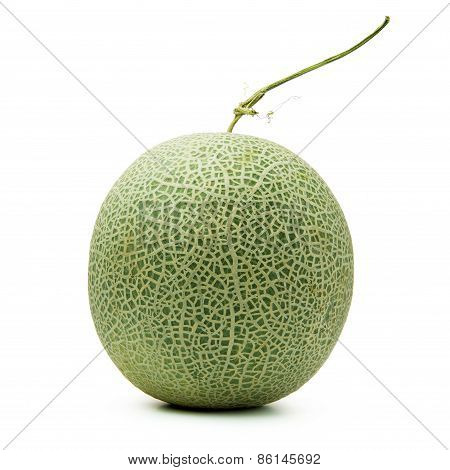 Cantaloupe