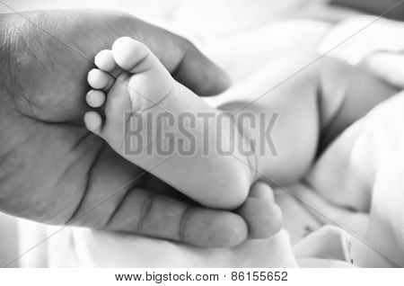 Baby Feet