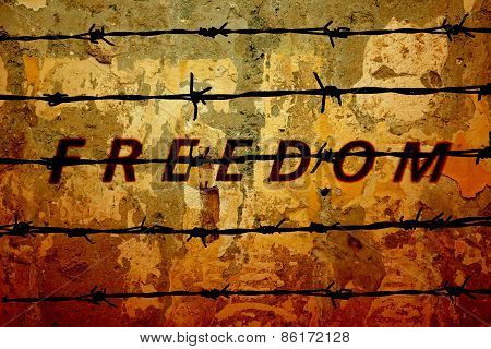 Freedom