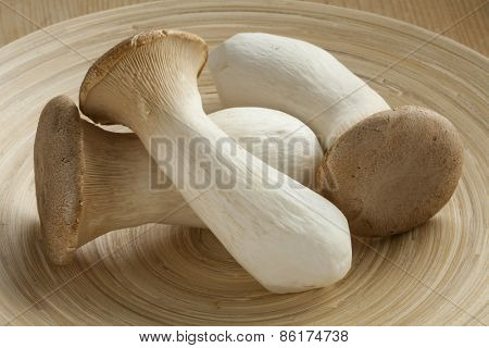 Fresh raw king oyster mushrooms