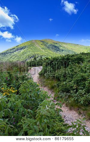 Mountain view from the top of Goverli, Carpathians