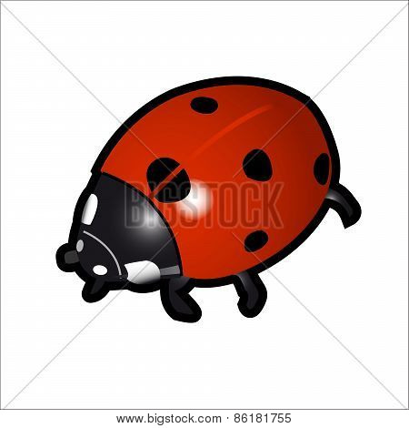 Ladybird