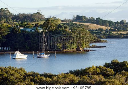 Landscape Of Northland New Zealand.