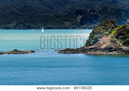Landscape Of Northland New Zealand.