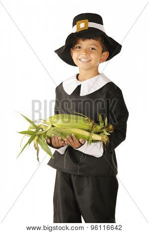 An adorable preschooler dressed as a Pilgrim happily carrying an armload of fresh corn.  On a white background.