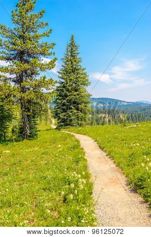 Beautiful Mountain Trail. Blackwall Peak Trail at Manning Park in British Columbia. Canada.