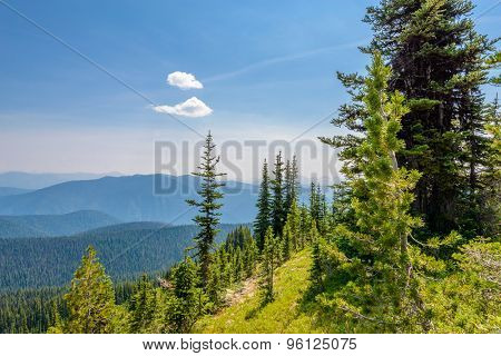 Beautiful Mountain Trail. Blackwall Peak Trail at Manning Park in British Columbia. Canada.
