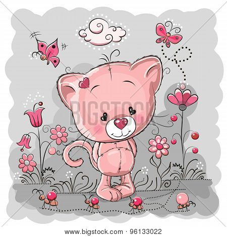 Cute Kitten
