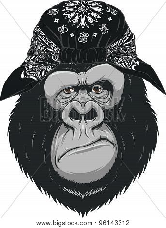 Happy monkey
