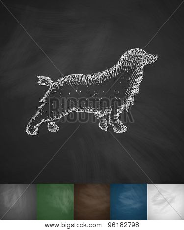 spaniel icon