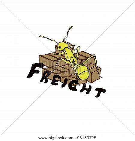 Freight